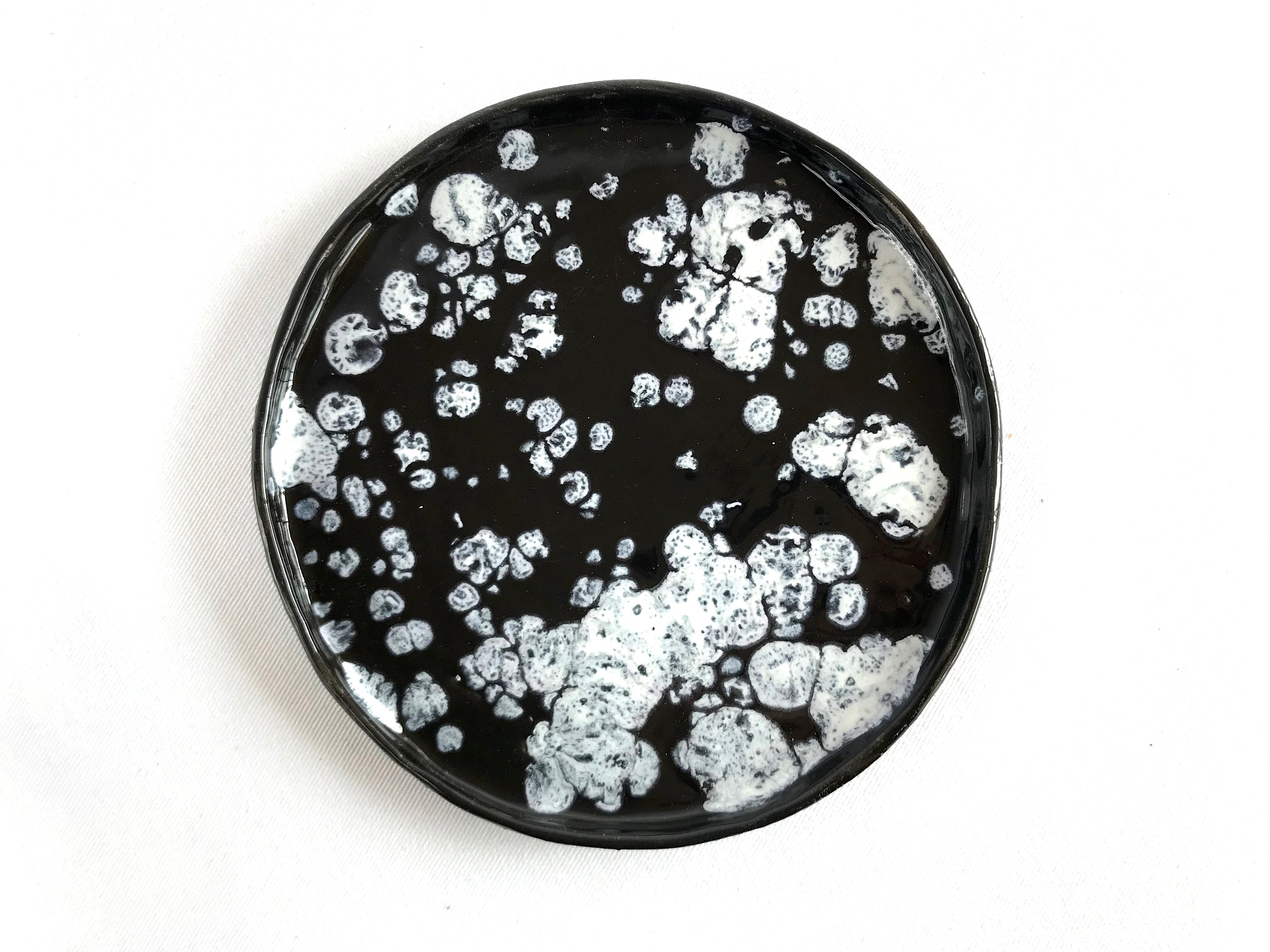 Black and White Galaxy Flat Plate