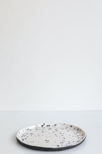 Spotted Dog Galaxy Flat Plate