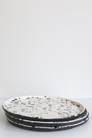 Spotted Dog Galaxy Flat Plate
